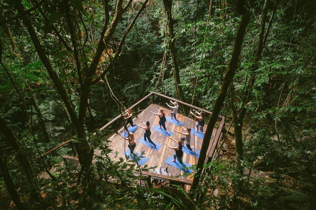 Daintree Ecolodge Екстер'єр фото