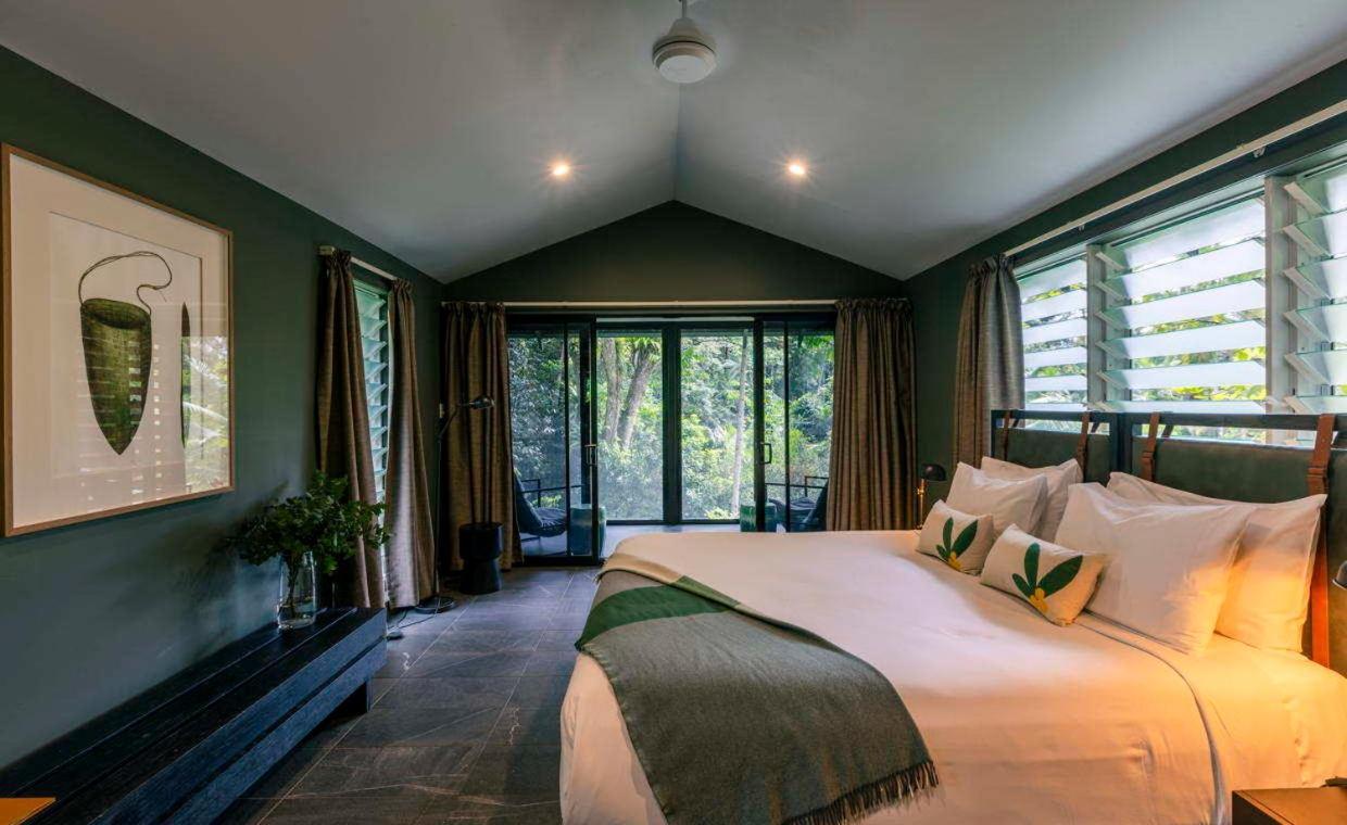 Daintree Ecolodge Екстер'єр фото