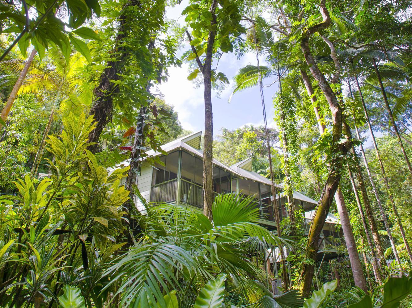 Daintree Ecolodge Екстер'єр фото