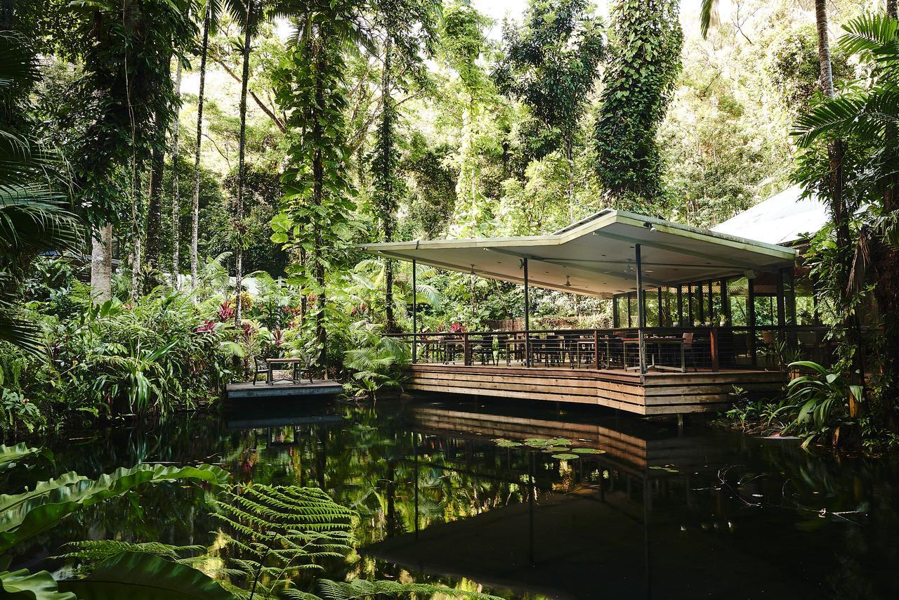 Daintree Ecolodge Екстер'єр фото