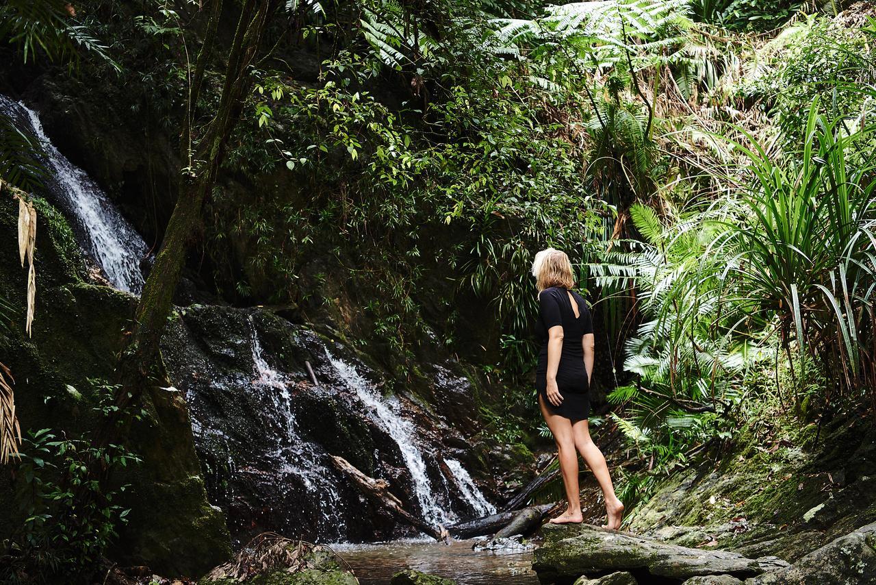 Daintree Ecolodge Екстер'єр фото