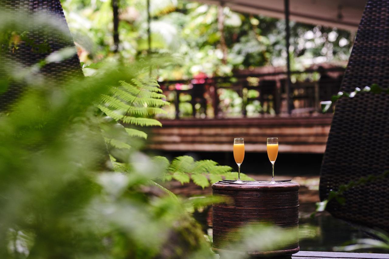 Daintree Ecolodge Екстер'єр фото