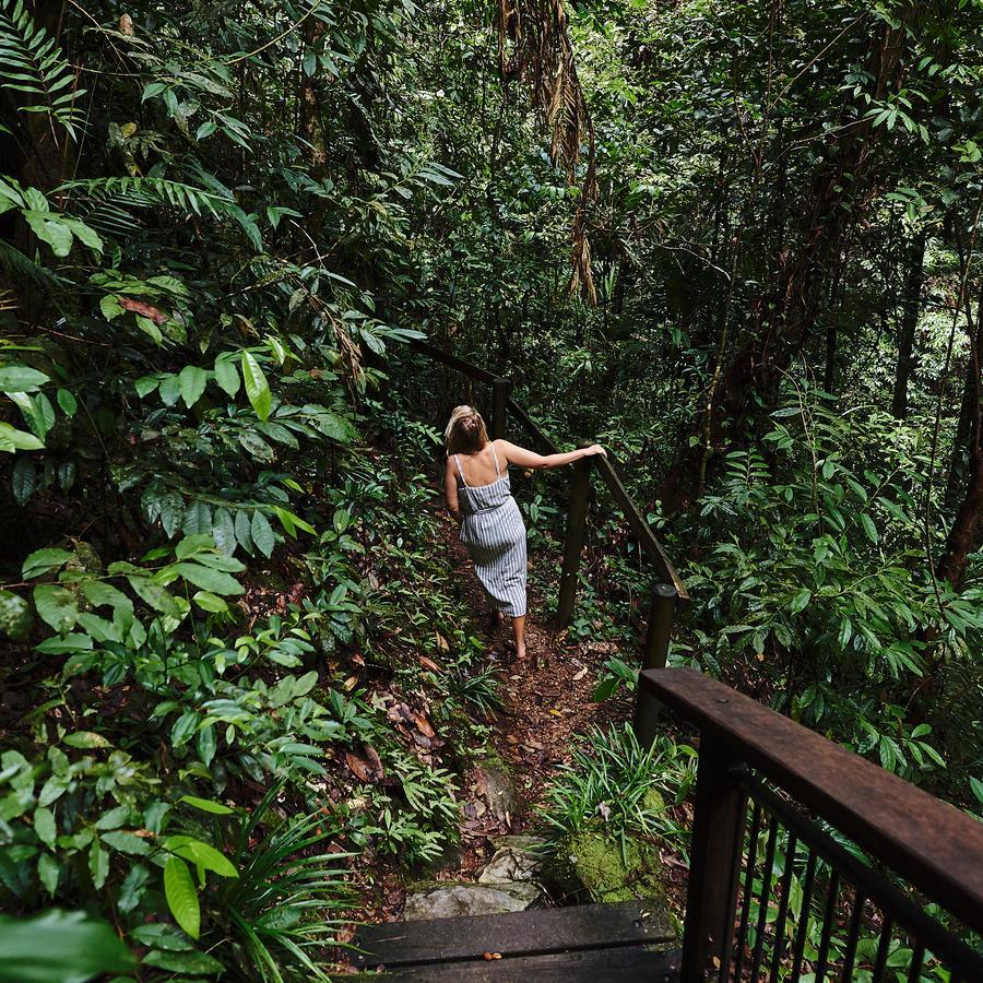 Daintree Ecolodge Екстер'єр фото