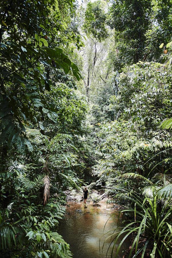 Daintree Ecolodge Екстер'єр фото