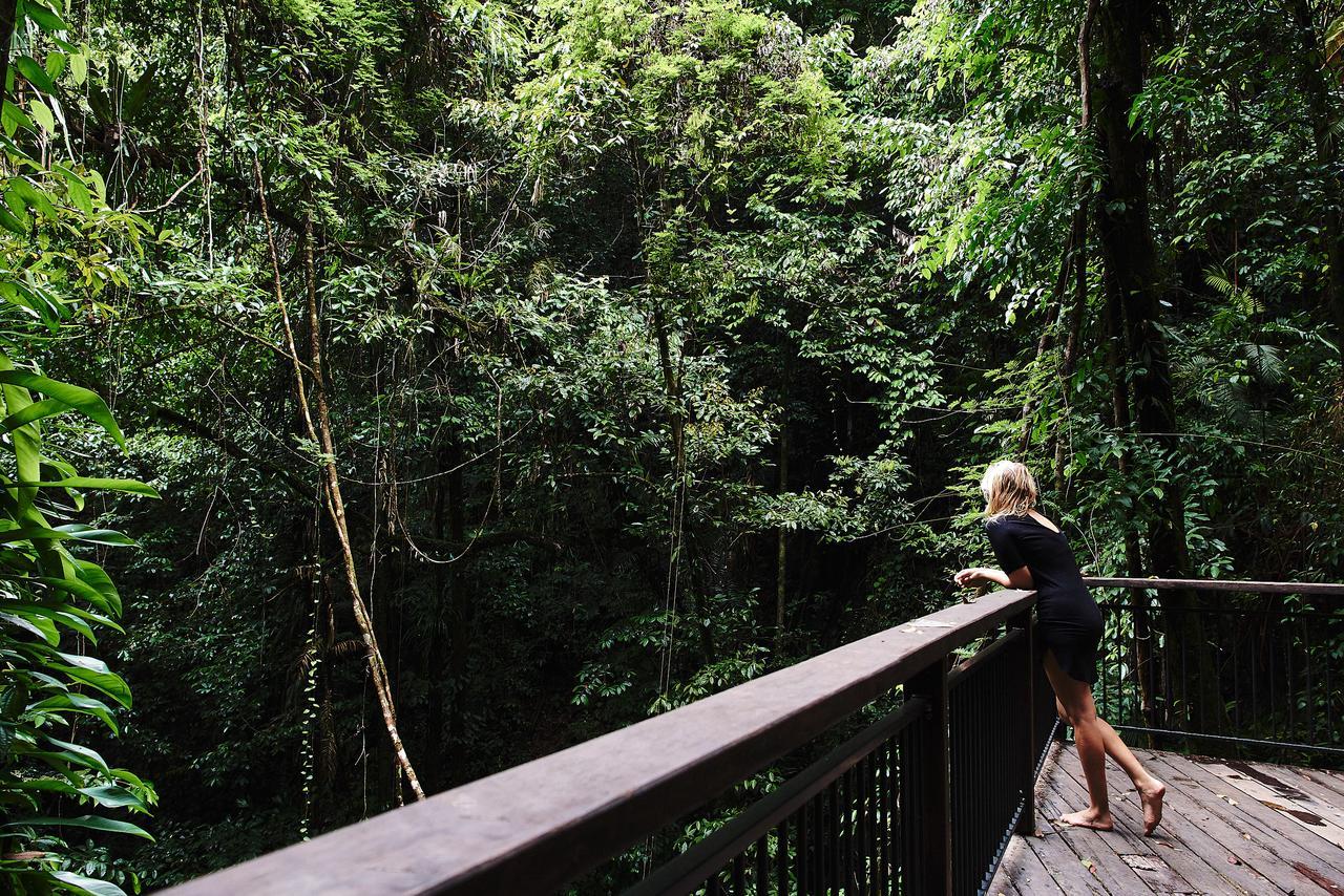 Daintree Ecolodge Екстер'єр фото