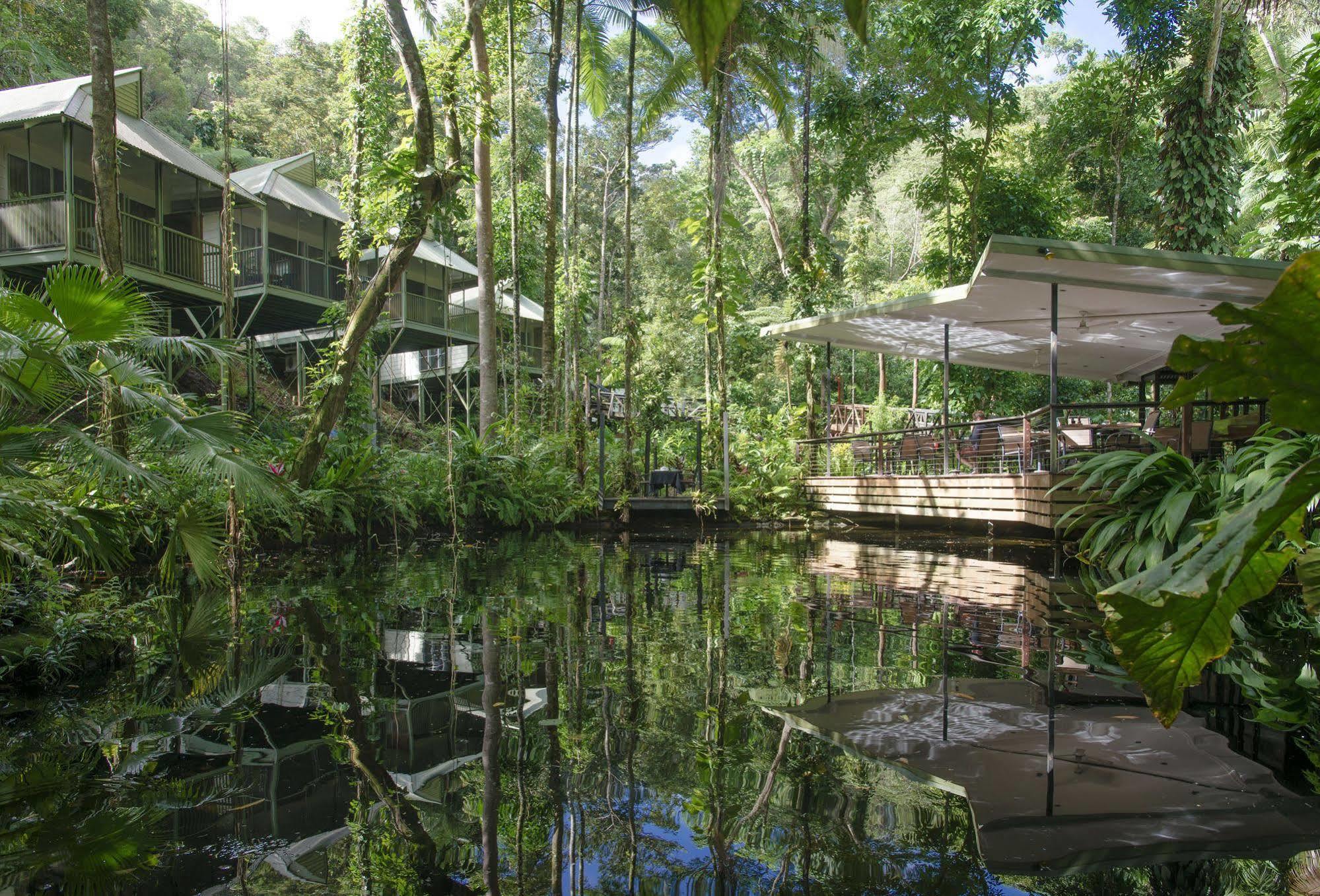 Daintree Ecolodge Екстер'єр фото
