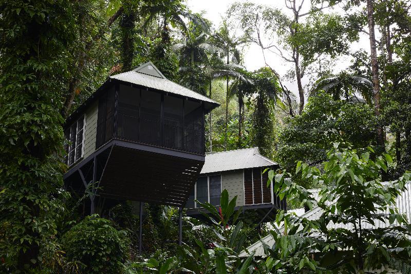Daintree Ecolodge Екстер'єр фото