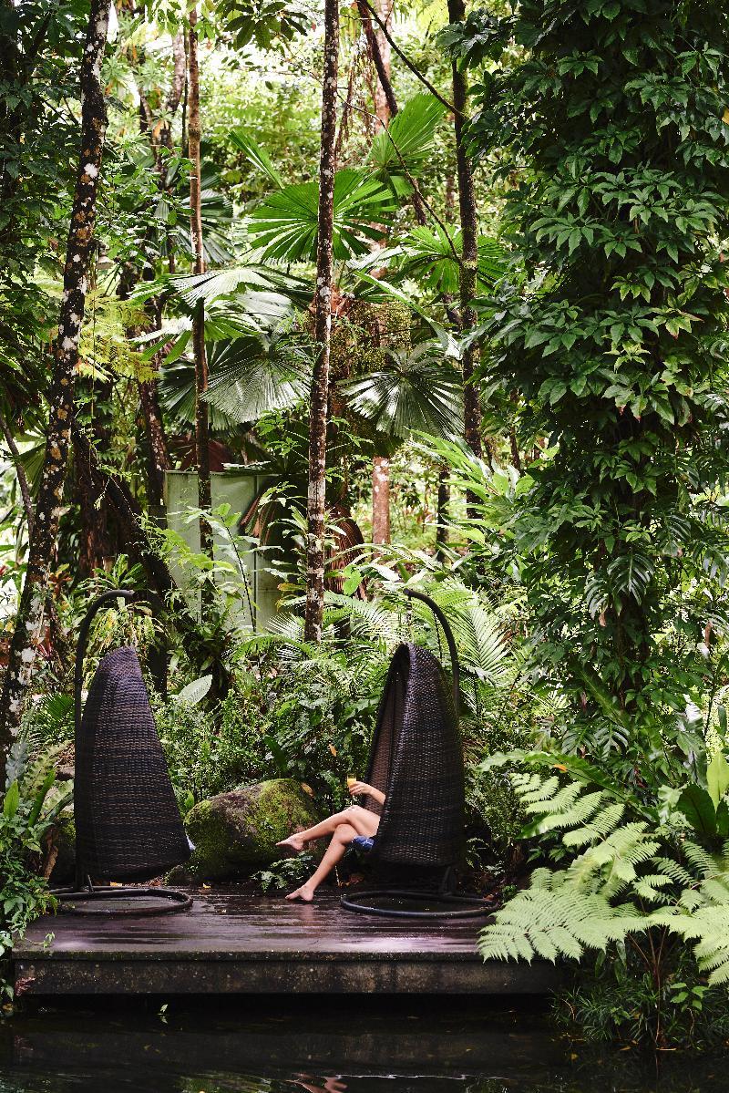 Daintree Ecolodge Екстер'єр фото