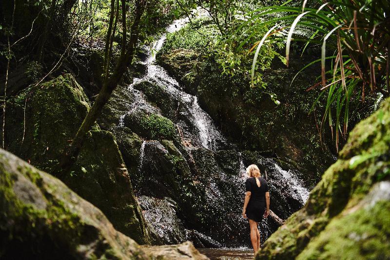 Daintree Ecolodge Екстер'єр фото