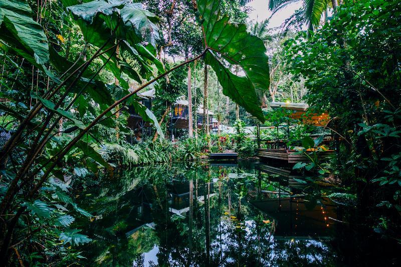 Daintree Ecolodge Екстер'єр фото