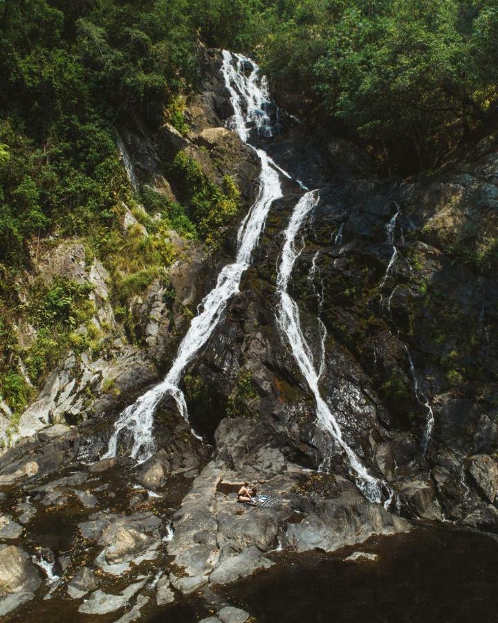 Daintree Ecolodge Екстер'єр фото