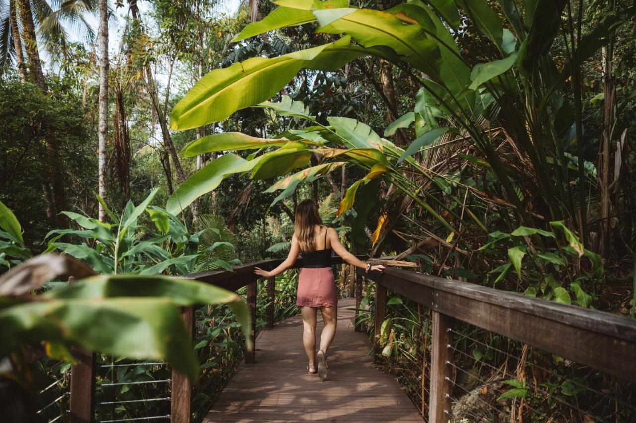 Daintree Ecolodge Екстер'єр фото