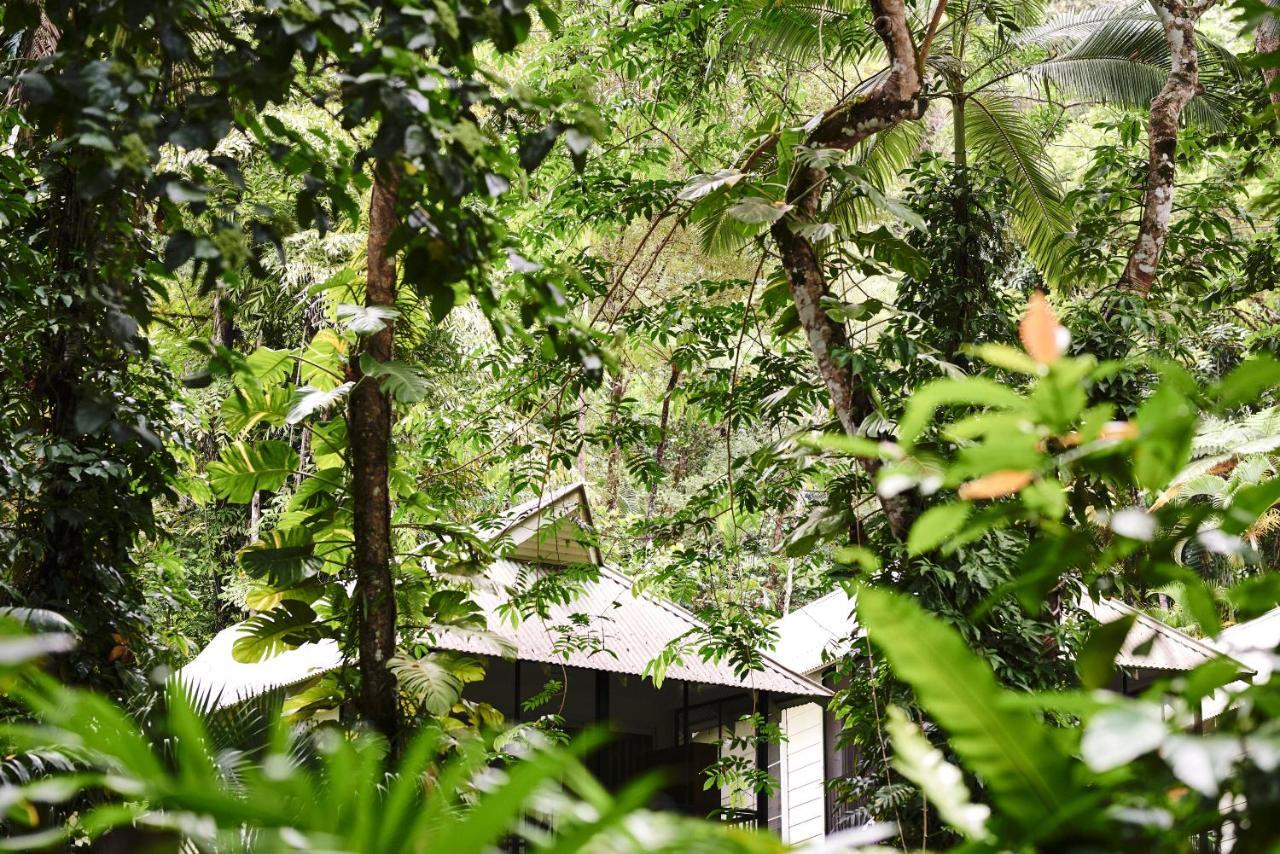 Daintree Ecolodge Екстер'єр фото