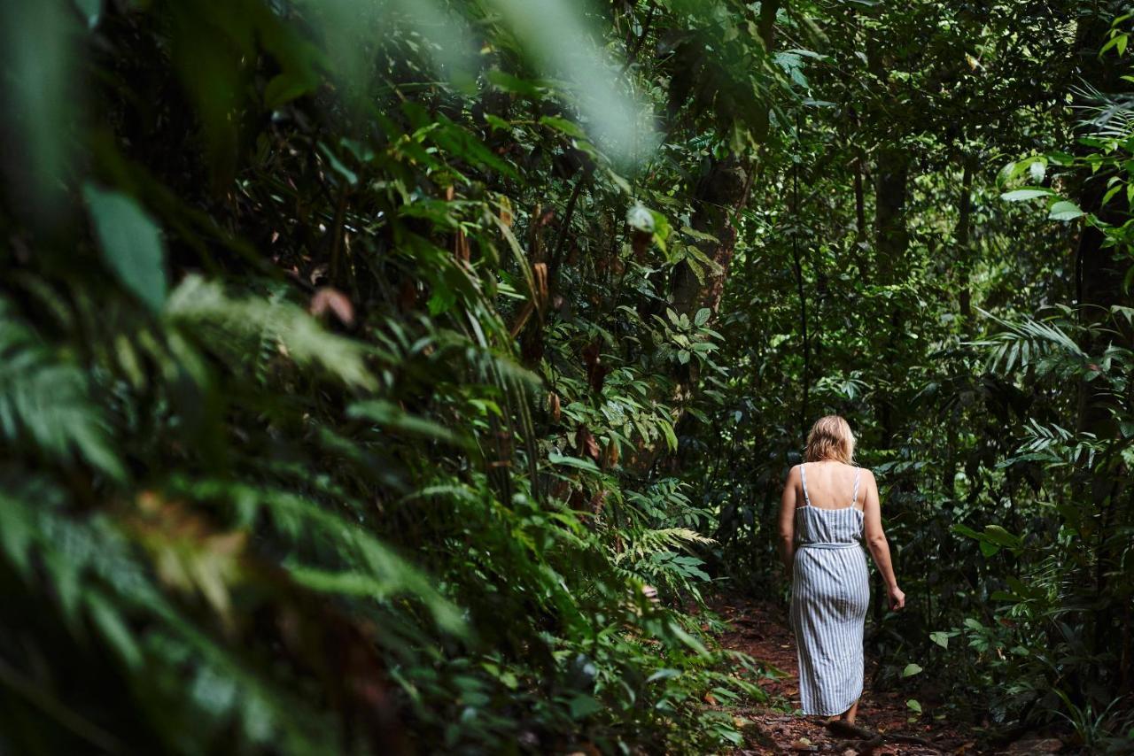 Daintree Ecolodge Екстер'єр фото